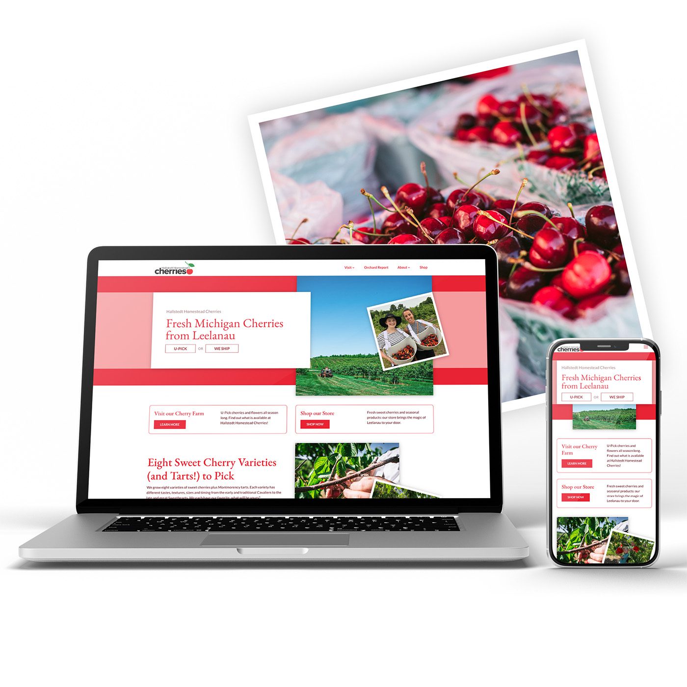 Custom U-Pick Orchard Website Redesign in Michigan