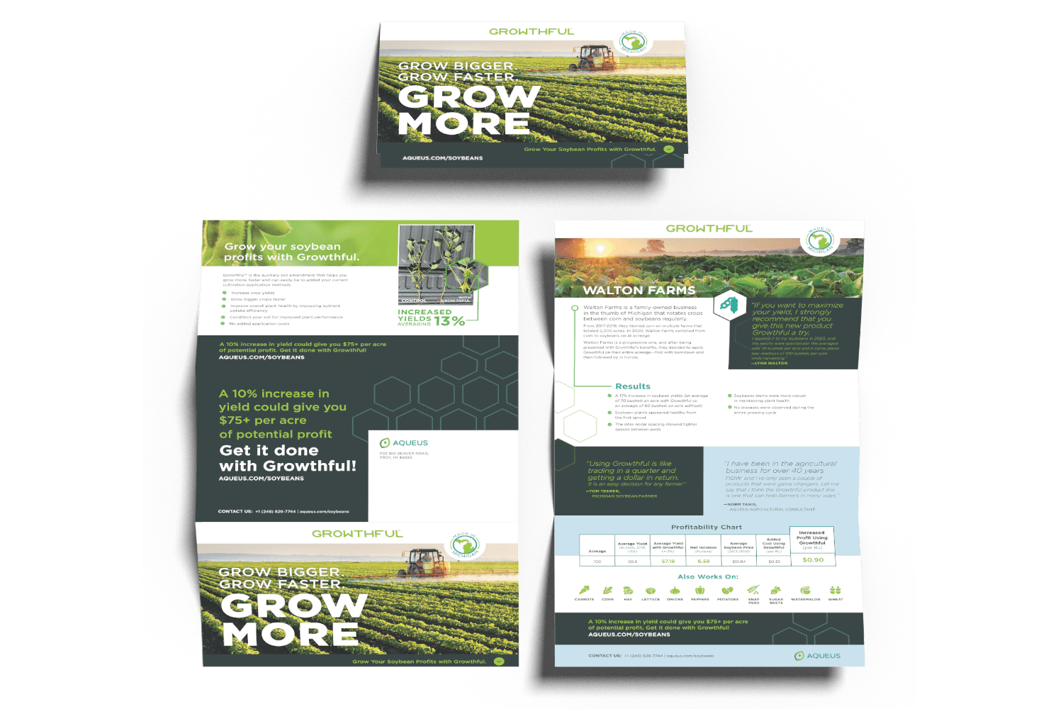 Mockup showing all the different panels of the direct mail