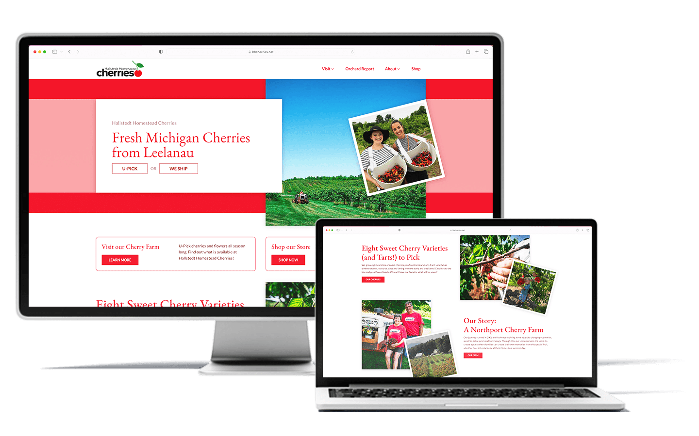 Website homepage design on a large screen and a laptop