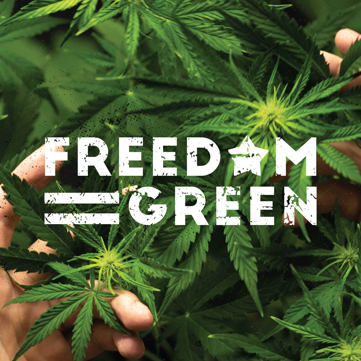 Michigan Cannabis Farm Logo and Brand Design