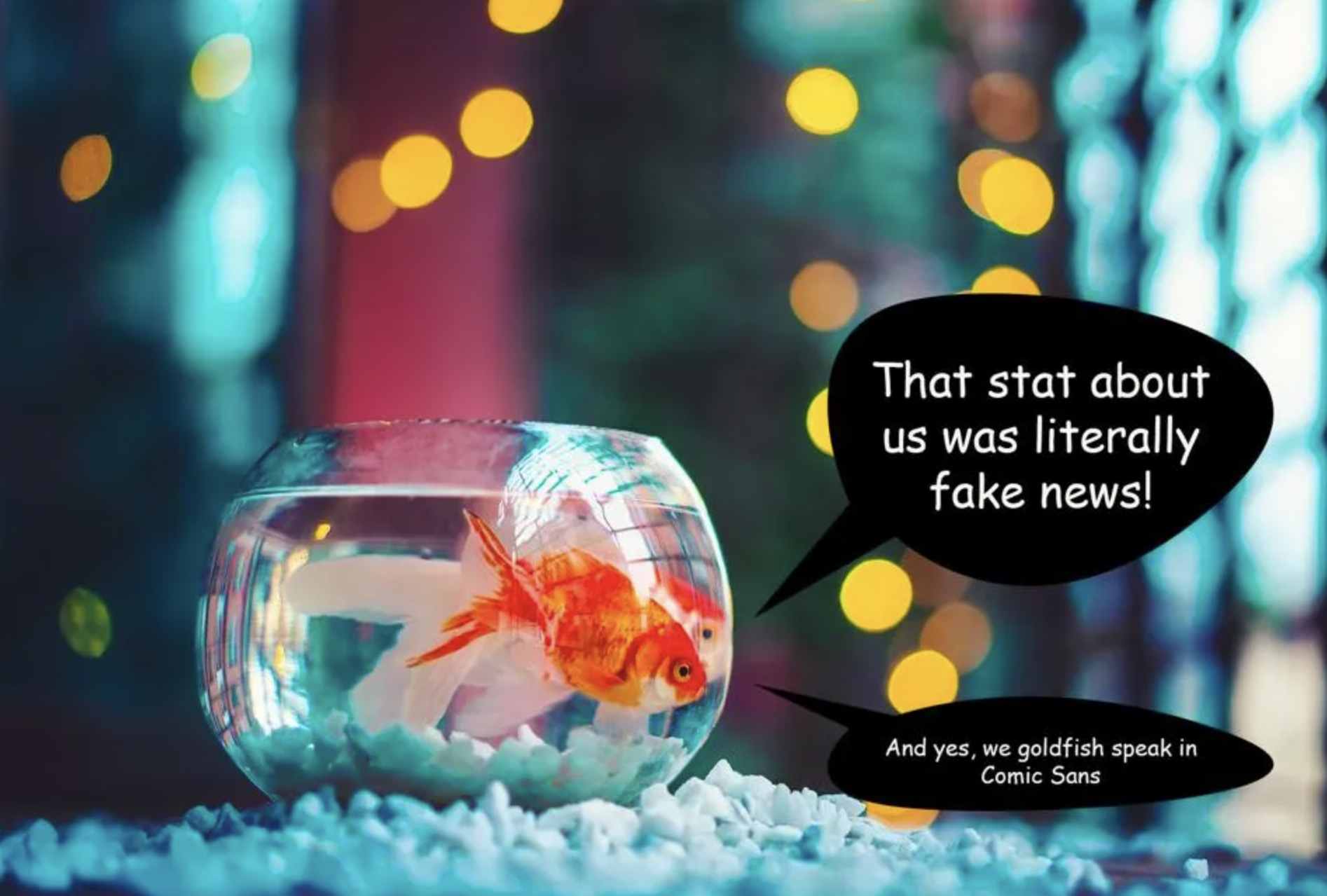 picture of goldfish in a fish bowl with a text caption