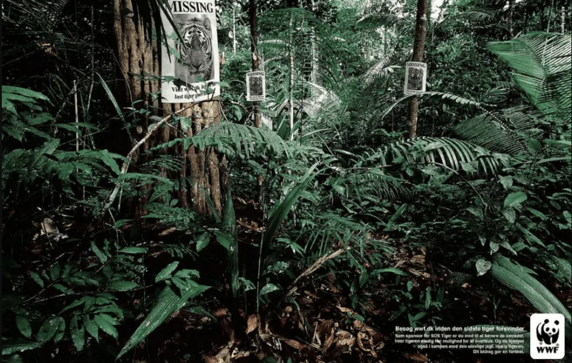 WWF example of emotional advertising about climate change