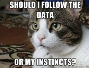 cat closeup saying should I follow the data or my instincts?