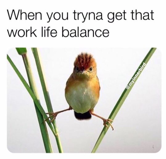 meme of a little bird balanced in branches showing work life balance in an AI world