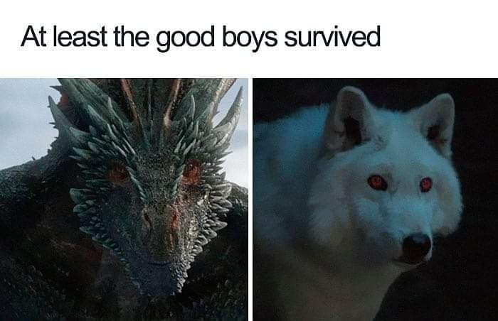 game of thrones ending meme - drogon and snow surviving the ending