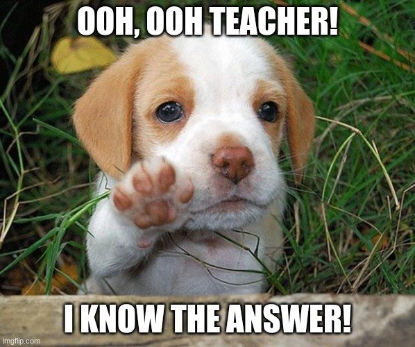 cute puppy raising its paw with text saying Ooh, Ooh Teacher, I know the Answer