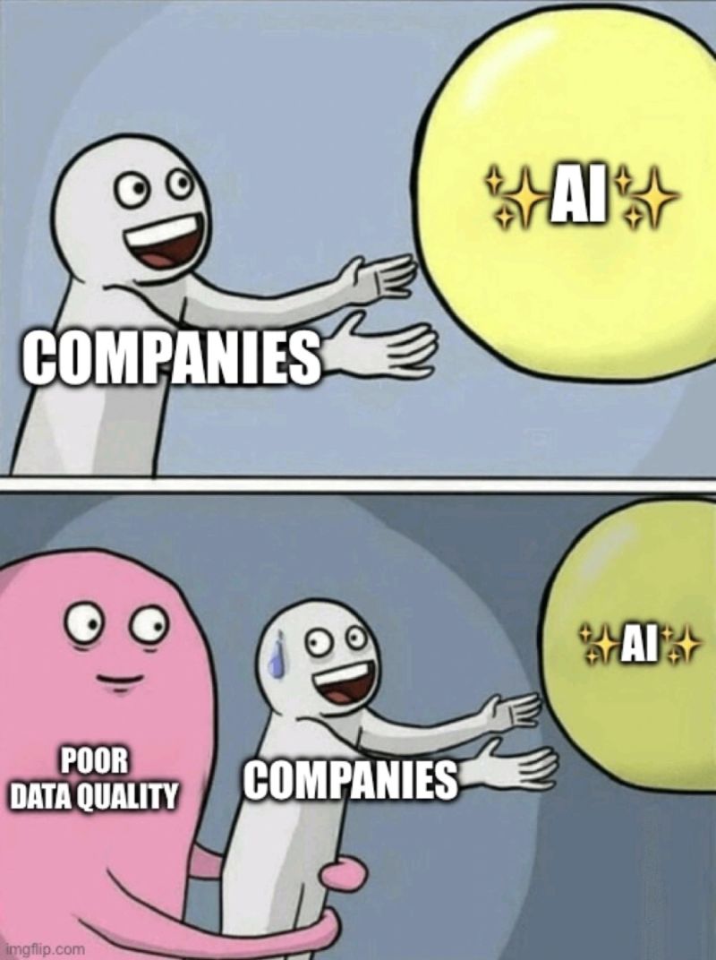 poor data quality cartoon meme