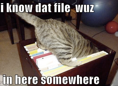 cat looking over various file folders meme with text