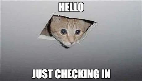 cute kitten peeking from the ceiling meme with text saying "Hello, just checking in"