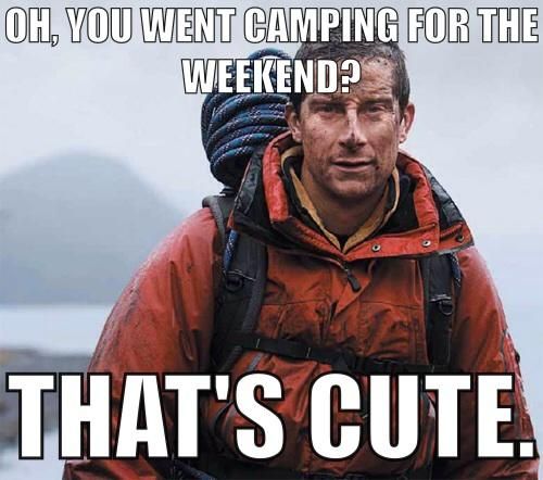 bear grylls meme about surviving in the wild