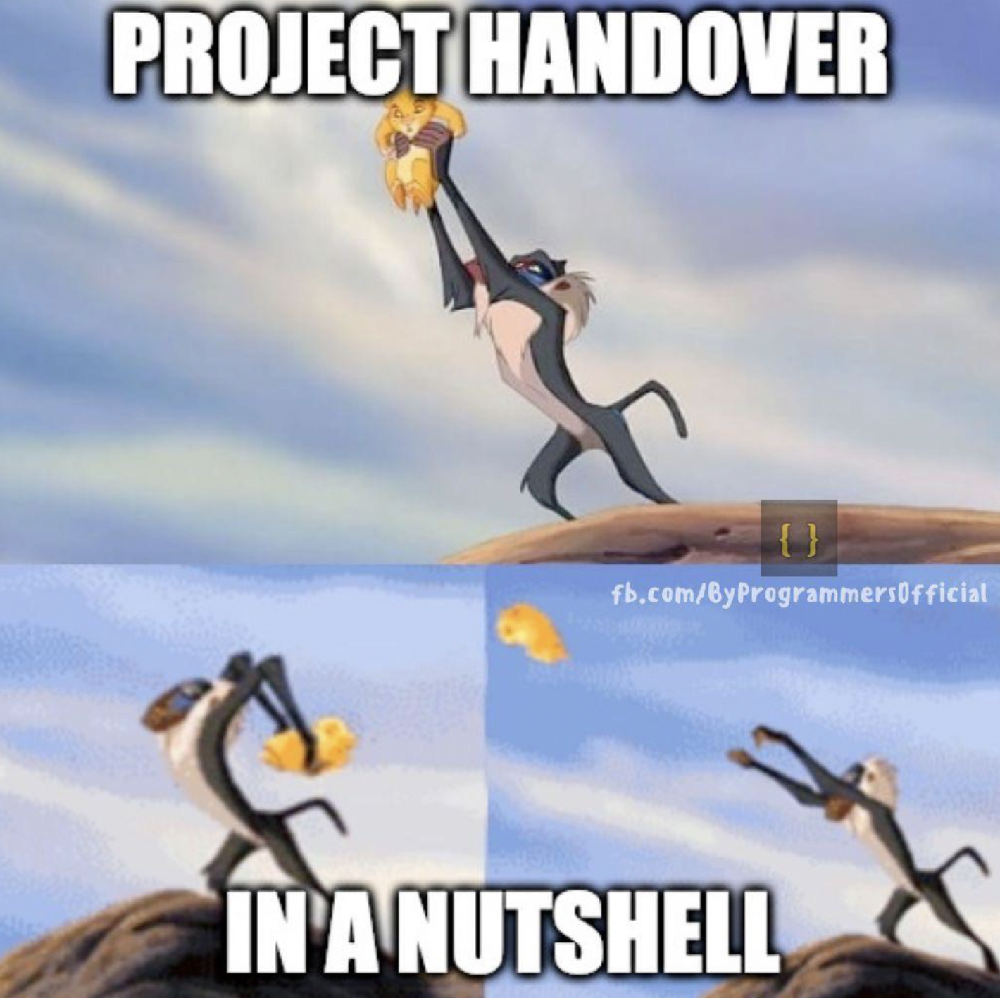Lion King movie meme with Rafiki throwing Simba in the air with text "Project Handover In A Nutshell."