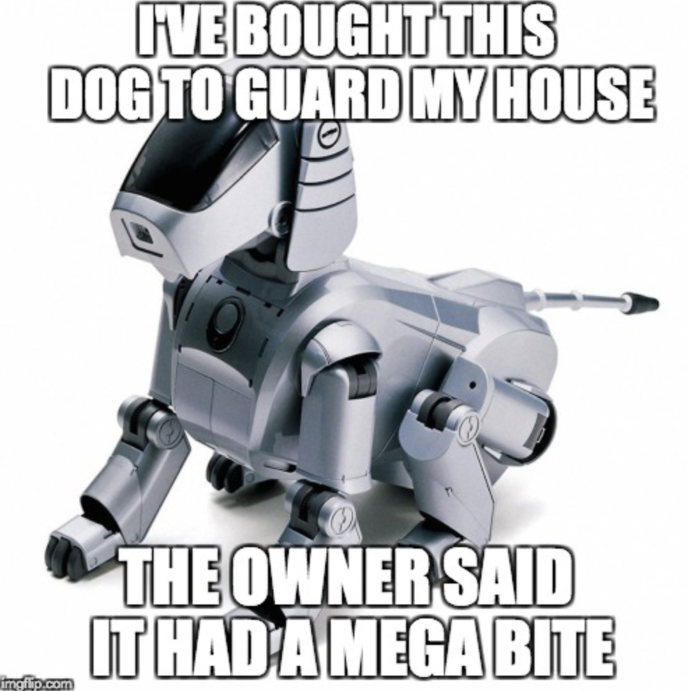 Robo dog meme with text "I've bought this dog to guard my house, the owners said it had a mega bite."